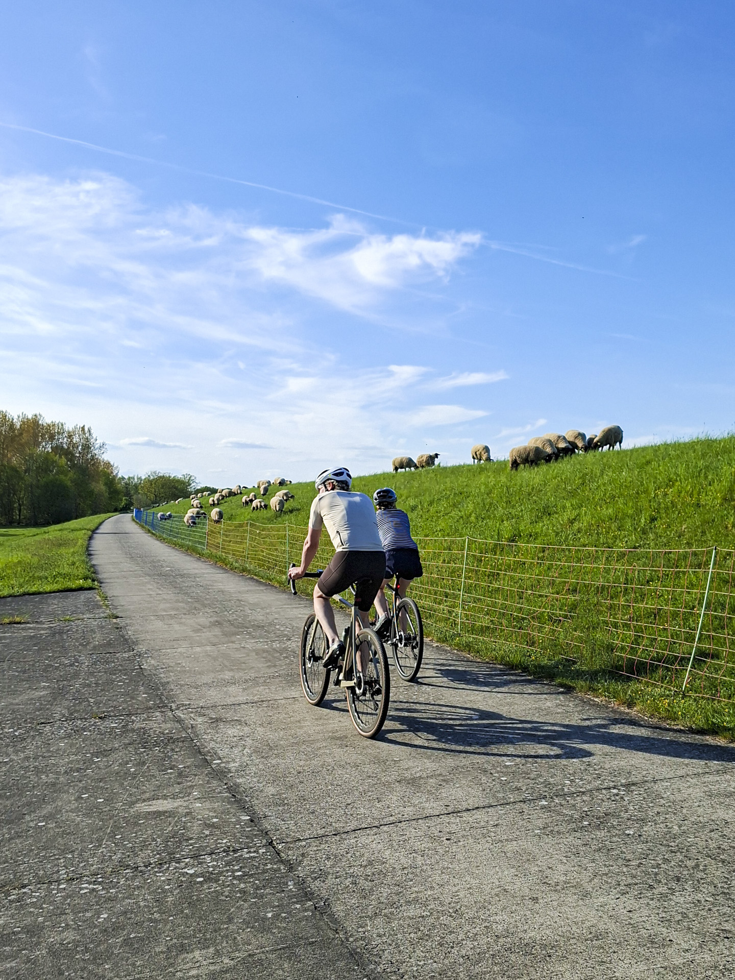Fahrradtouren auf dem Elberadweg, ideal für aktive Erholung unserer Gäste