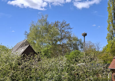 Frühlingshafte Landschaft bei Kamerun (Gemeinde Damnatz) im Wendland